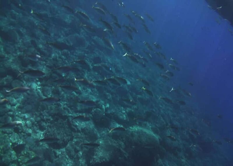 Giardini Naxos: Taormina & Isola Cruise Bella with Aperitif - The Blue Grotto and Other Notable Stops