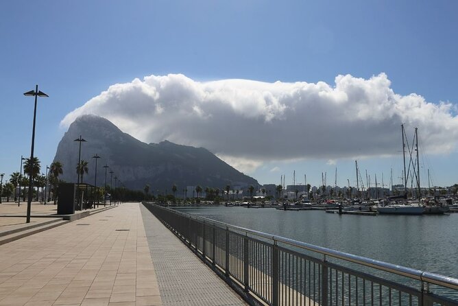 Gibraltar Day Trip at your Own Pace from Malaga & Costa del Sol - Activities and Attractions Available During Free Time