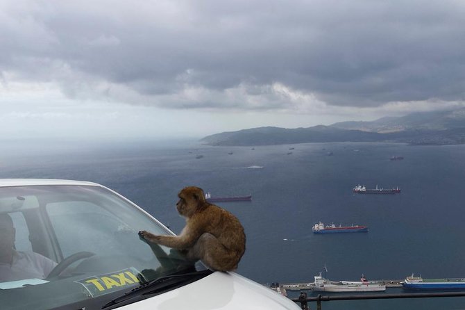 Gibraltar Day Trip from Seville + Rock Tour - The Great Siege Tunnels: A Glimpse into Gibraltar’s Defense History