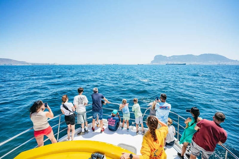 Gibraltar: Dolphin Watching Tour - The Significance of the Dolphin Sightings Success Rate