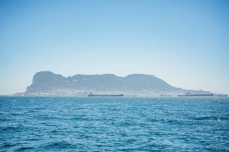 Gibraltar: Dolphin Watching Tour - Timing and Pacing of the Tour