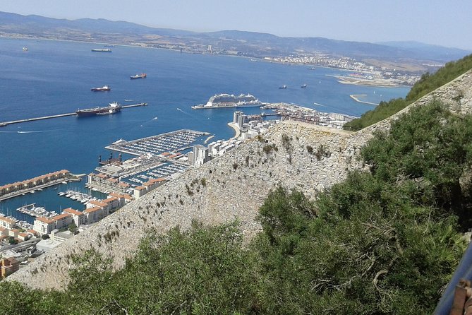 Gibraltar Inside Out Extended Tour 2.30hrs - Relaxing at Gibraltar Botanic Gardens