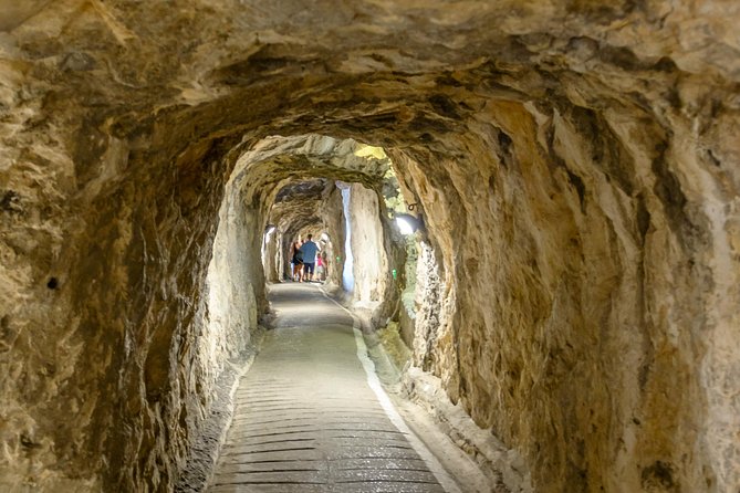 Gibraltar Inside Out Intermediate Tour 3.30hrs - The Fascinating Barbary Macaques and the Feeding Station