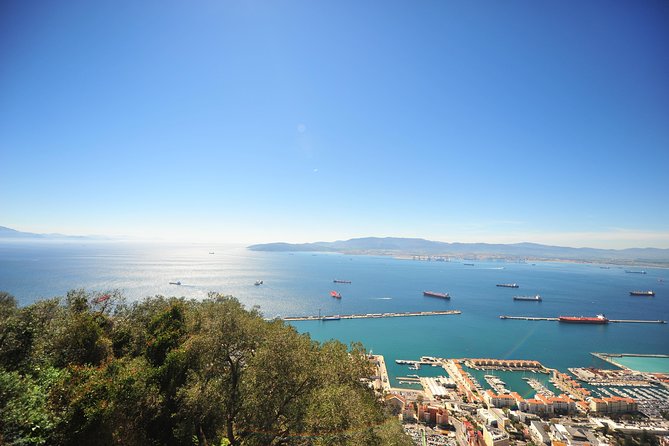 Gibraltar Inside Out Panoramic Tour 1hrs Plus - What Sets This Tour Apart: Expert Guidance and Authentic Local Insight