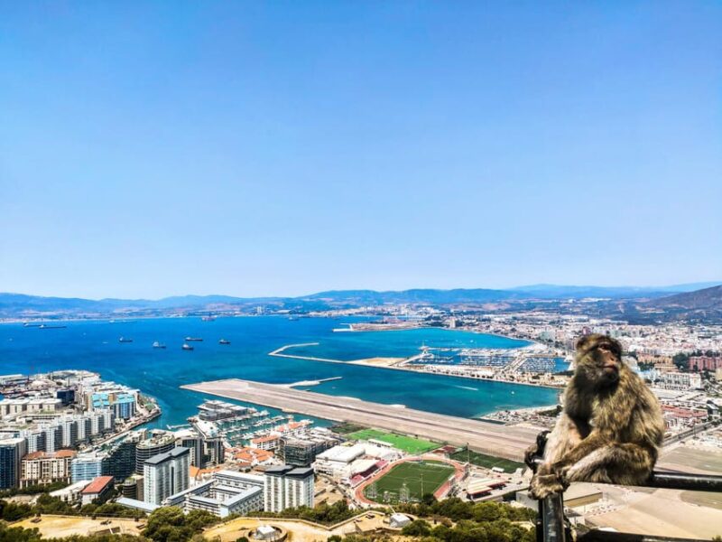 Gibraltar: premium private day trip & Rock tour - Exploring Gibraltars Most Famous Sites with a Local Guide