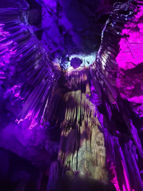 Gibraltar: premium private day trip & Rock tour - Encountering the Monkeys of Gibraltar