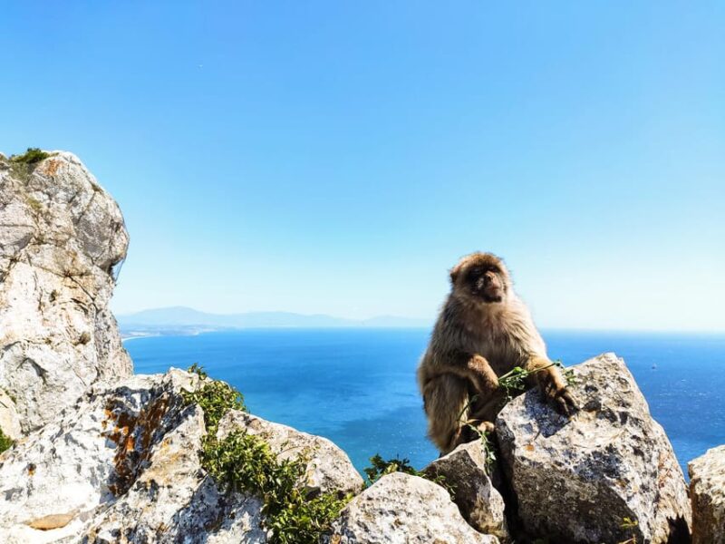 Gibraltar: premium private day trip & Rock tour - Who Should Consider This Gibraltar Day Trip?