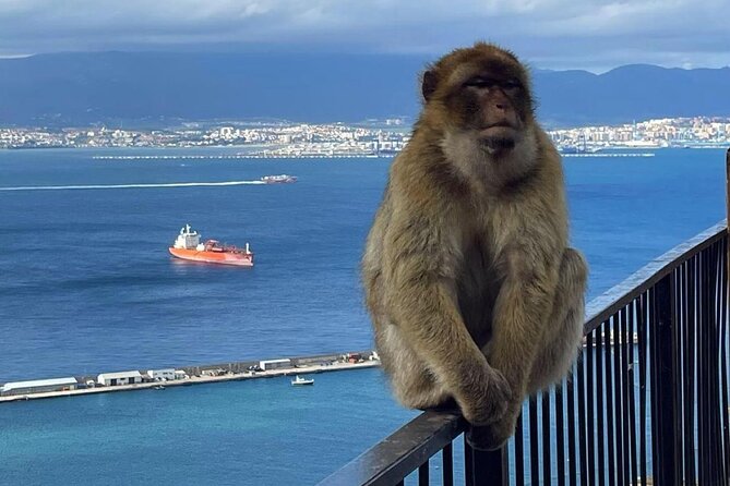 Gibraltar Private Daytrip From Sevilla - Key Points