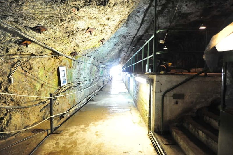 Gibraltar: Private Highlights Tour with Entry Tickets - Practical Details and Booking Information