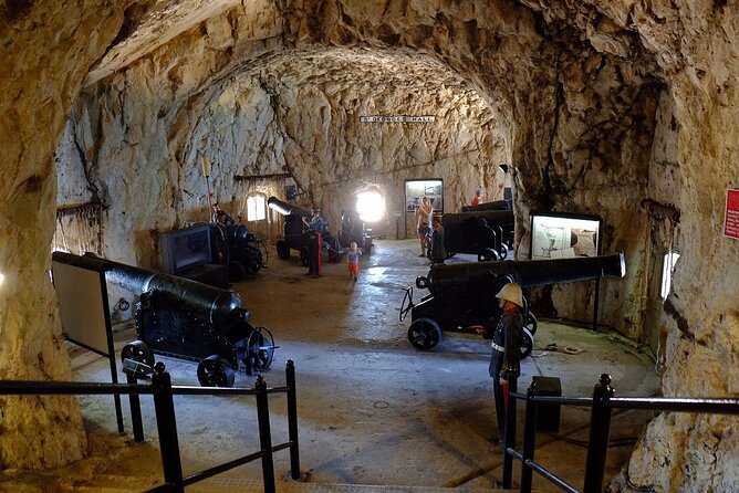 Gibraltar Private Tour from Malaga and Surronding Areas - Visiting Europa Point and Other Highlights