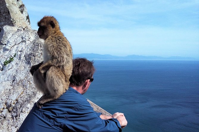 Gibraltar private tour from Marbella or Malaga - The History Behind the Great Siege Tunnels