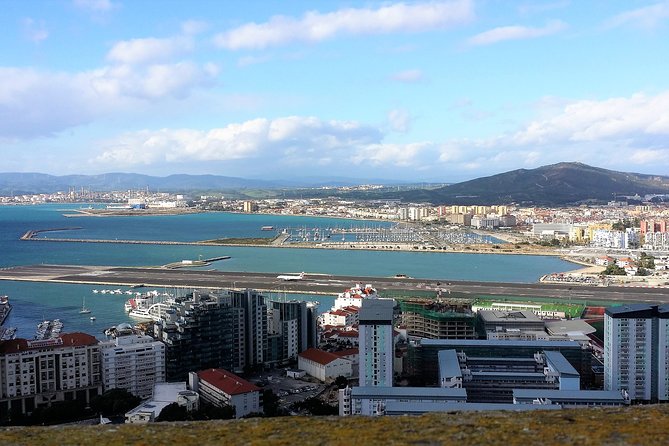 Gibraltar private trip from Marbella or Malaga - Encountering the Famous Gibraltar Monkeys