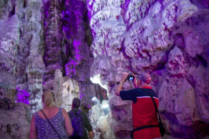 Gibraltar Rock Guided Tour - The Value of a Short but Rich Gibraltar Experience