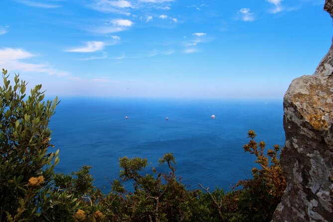 Gibraltar Shore Excursion: The Original Rock, Shop & Caves Tour - The Start of Your Gibraltar Adventure at the Cruise Terminal