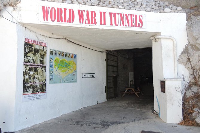 Gibraltar Sightseeing : Classic Rock Tour plus World War 2 Tunnels (Private) - Starting at Gibraltar’s Natural Marvel: The Rock