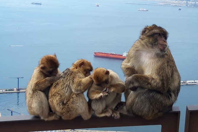 Gibraltar Sightseeing: Classic Rock Tour (Private) - Touring the Historic Great Siege Tunnels