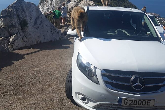 Gibraltar Sightseeing : Classic Shore Excursion (Private) - Discover the Historic Great Siege Tunnels