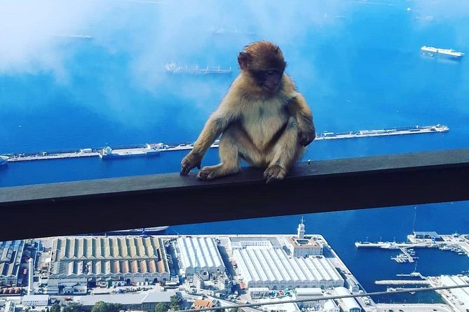 Gibraltar Sightseeing : Extended Rock Tour / Shore Excursion (Private) - Flexible, Convenient Logistics for Cruise Passengers