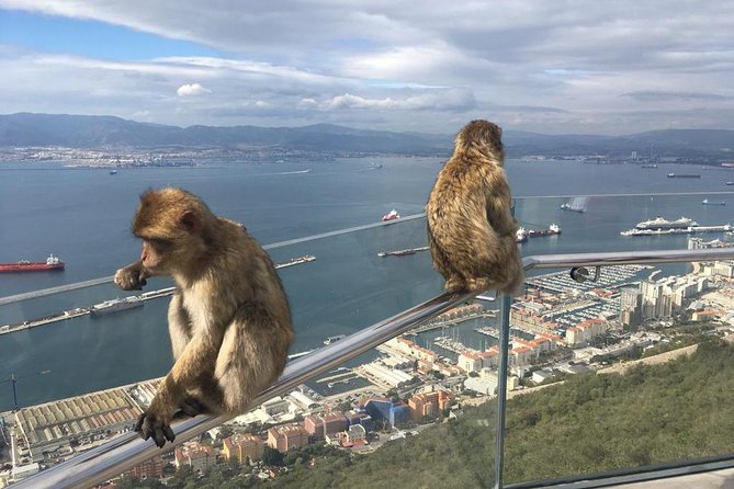 Gibraltar Sightseeing: Premium Rock Tour / Shore Excursion (Private) - The Sum Up: The Ideal Gibraltar Tour for a Curated Experience