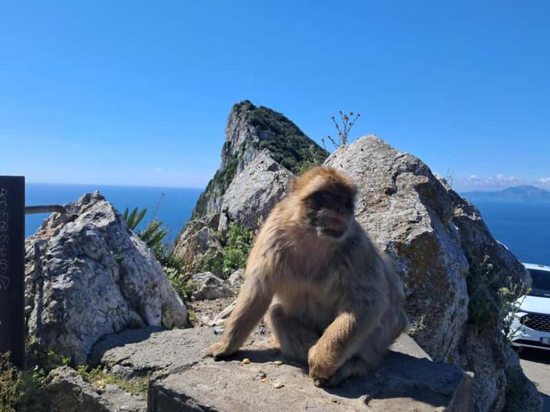 Gibraltar Sightseeing : Premium Tour with a Local Guide - Discovering the Great Siege Tunnels and WWII Defenses