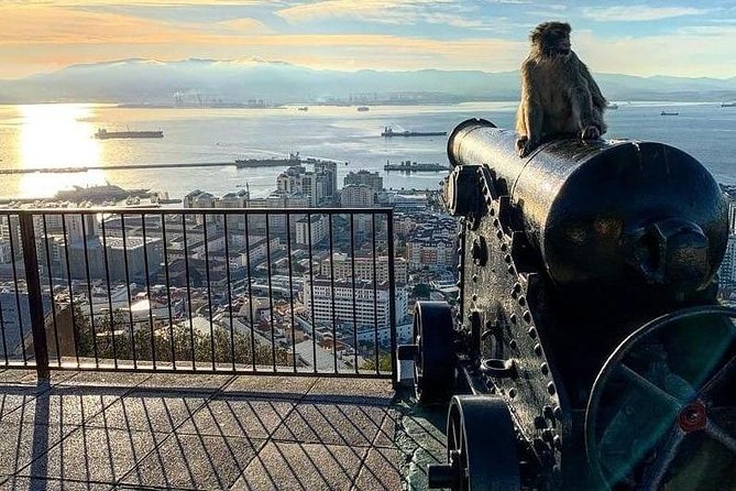 Gibraltar Sightseeing :SKYWALK AND SUSPENSION BRIDGE TOUR (Private) - Exploring the Caves at St. Michaels Cave
