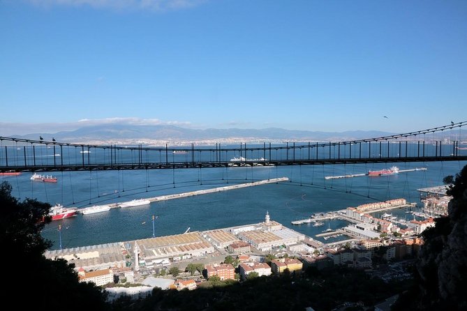 Gibraltar Skywalk & Suspension Bridge Tour 1.45hrs - Animal Encounters and Cultural Heritage
