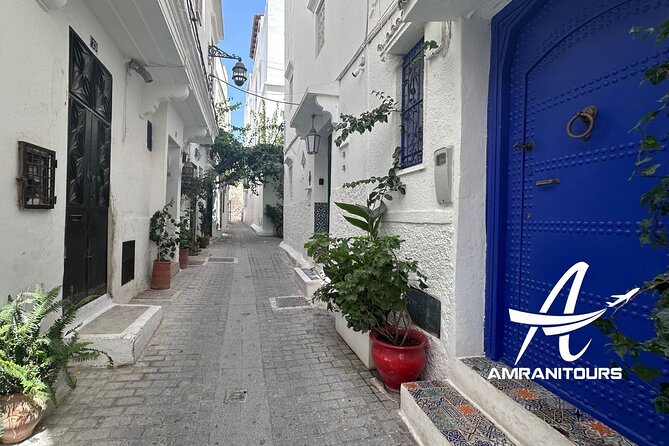 Gibraltar to Tangier All Inclusive Day Trip - Camel Ride at Achakar Beach and Coastal Walks