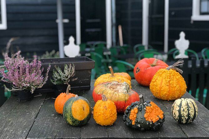 Giethoorn and Zaanse Schans Day Tour Small Group Incl. Boat Ride - Scenic Boat Ride in Giethoorn: Lakes, Canals, and Cozy Houses