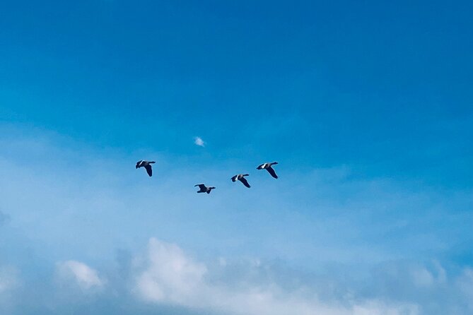 Giethoorn, Fish village , Zaanse Schans Tour incl Hotel pick up - Cheese Tasting at Catharina Hoeve Farm