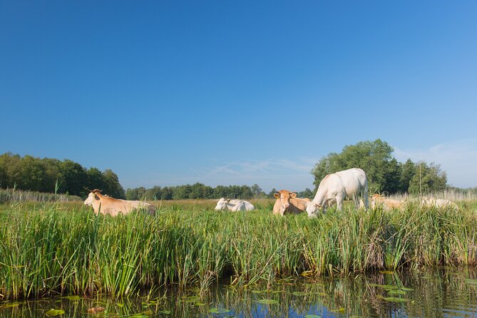 Giethoorn: Highlights Canal Cruise and Sightseeing Village - Learning Village Life and Water Management at Het Olde Maat Uus