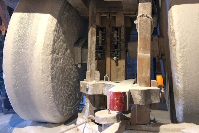 Giethoorn Private Tour, Canal Cruise and Windmills from Amsterdam - Lunch and Leisure Time in Giethoorn