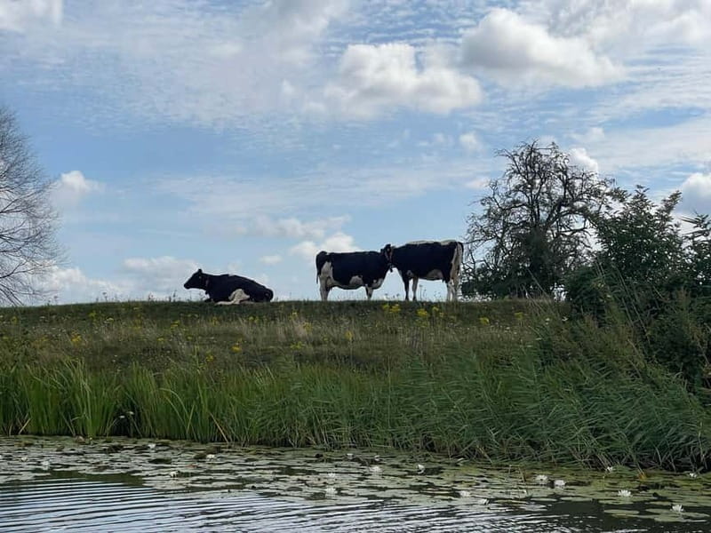 Giethoorn & Windmill Country A Journey Through Old Holland - Suitability and Ideal Participants