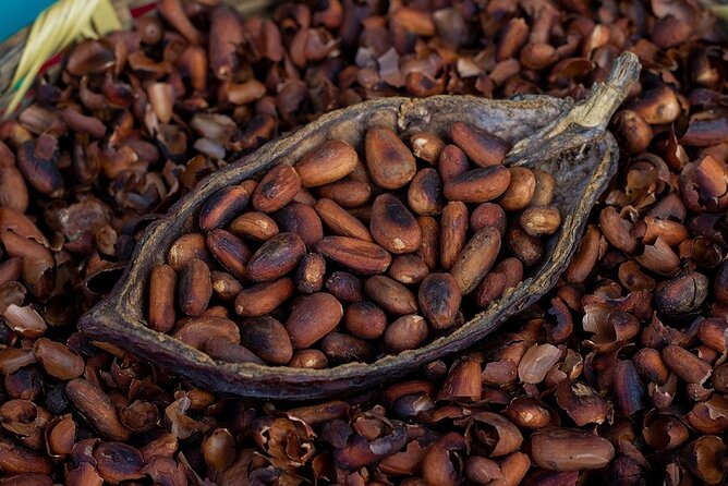Gifts of the Earth Tour - The Traditional Tortilla-Making Lesson at El Jardín Secreto