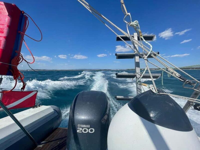 Giglio Island (Tuscania): Tour and snorkelling on a dinghy - Riding on a Power Dinghy with Up to 20 People