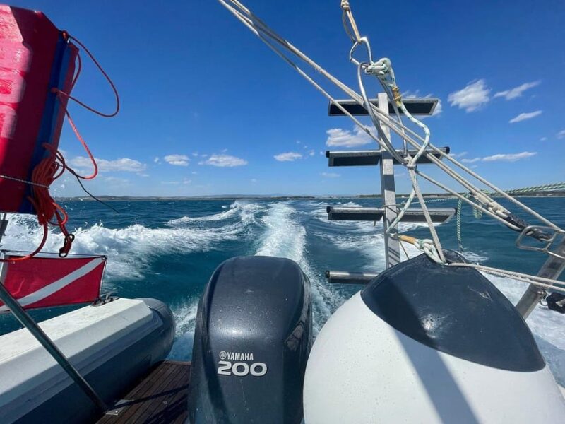 Giglio Island (Tuscania): Tour and snorkelling on a dinghy - Value and Suitability for Different Travelers