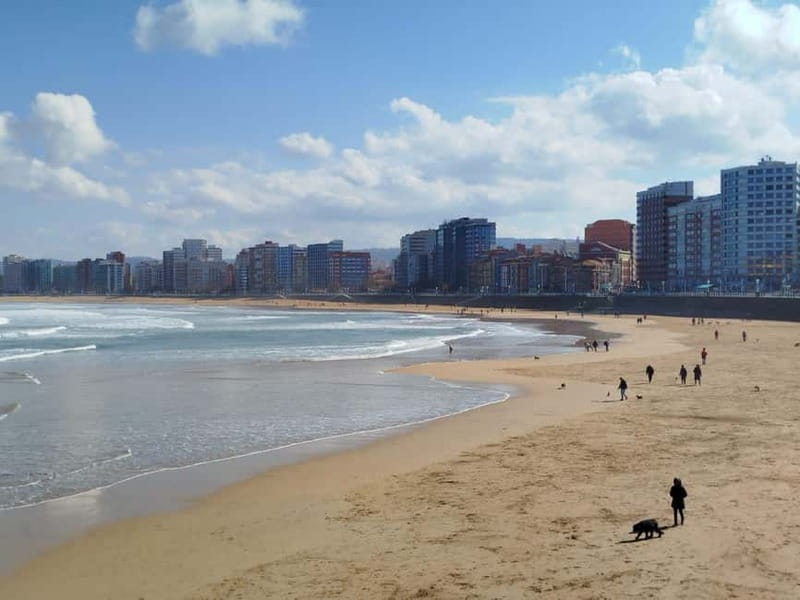 Gijon and La Laboral Guided Tour from Oviedo - Admiring the Revillagigedo Palace and Nautical Views