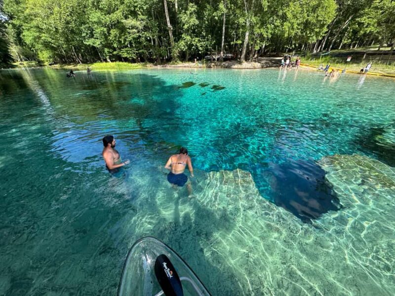 Gilchrist Blue: Clear Kayak Eco Tour - How the Clear Kayaks Elevate the Experience