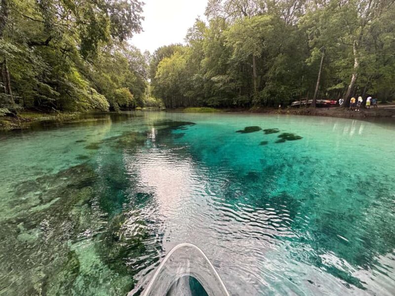 Gilchrist Blue: Clear Kayak Eco Tour - What Makes This Tour Stand Out from Others