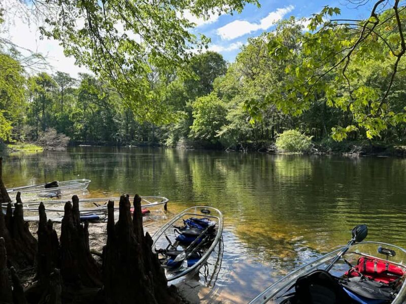 Gilchrist Blue: Clear Kayak Eco Tour - Summary of the Gilchrist Blue Eco Kayak Tour