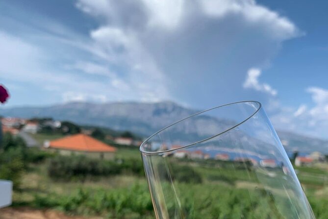 Gin, Honey and Wine Half Day Private Tour in Korcula - Comparing This Tour to Other Korcula Experiences