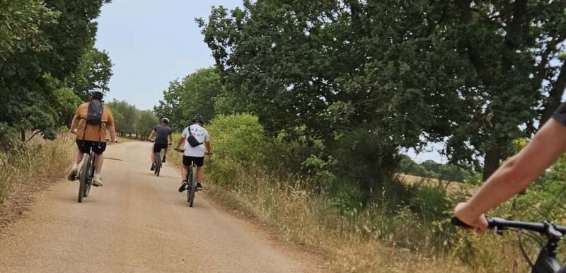 Gioia del Colle: E-Bike Tour & Mozzarella DOP Experience - The Afternoon Cheese Tasting Experience