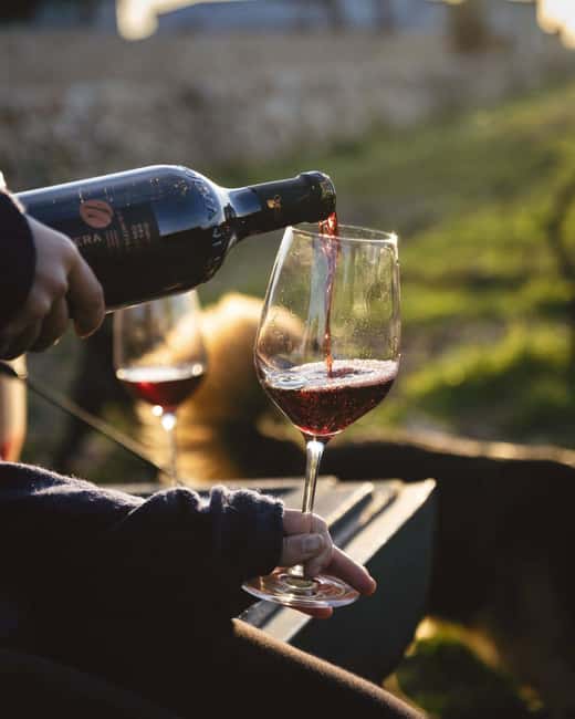 Gioia del Colle: Light Lunch and Wine Tasting in the Cellar - A Flavor-Filled Tour in Gioia del Colle for $69