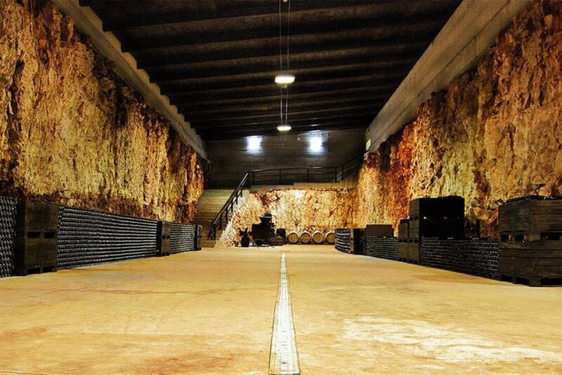 Gioia del Colle: Riding the Land of Primitivo, Wine Tasting - The Significance of the Primitivo Stele