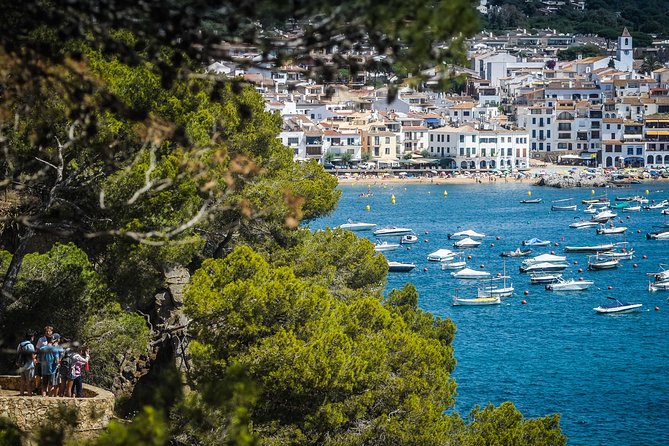 Girona and Costa Brava Private Day Trip from Barcelona - Comfort and Convenience of Private Transport