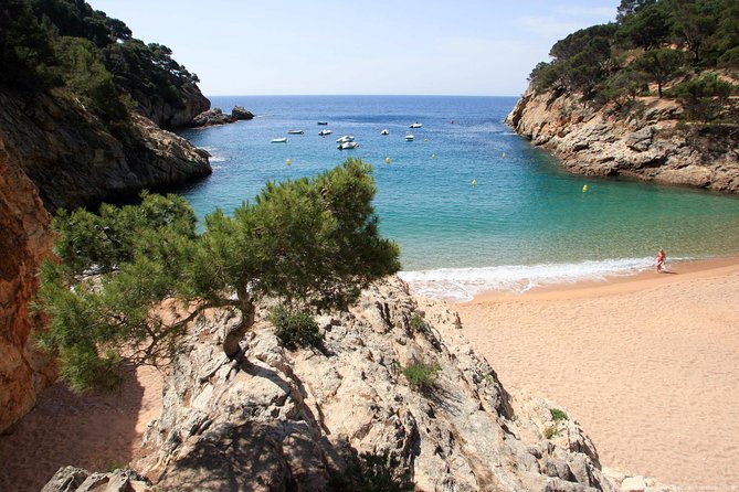 Girona & Costa Brava Small-Group Tour with Pickup from Barcelona - Relaxing in Calella de Palafrugell