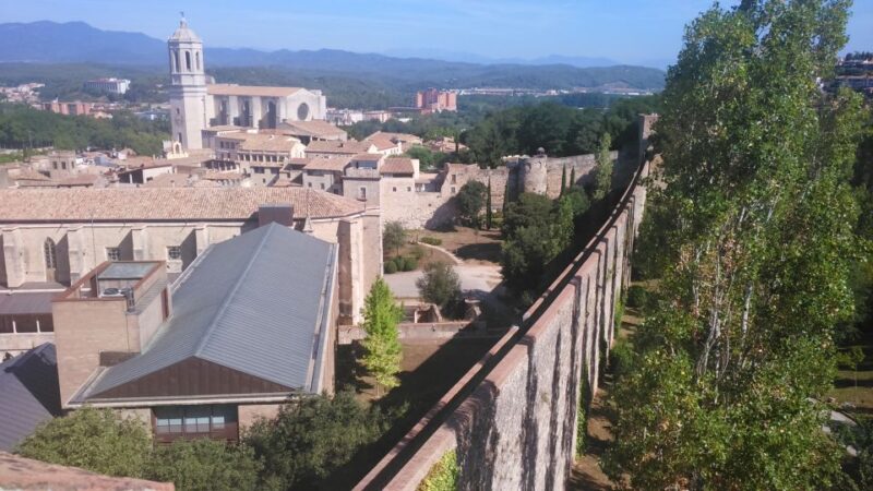 Girona: Jewish Heritage Guided City Tour and Museum Visit - Walking Through the Streets of the Call