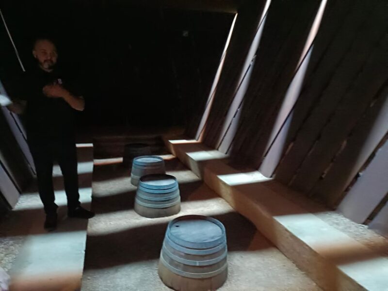 Girona: Local Wineries Tour with Breakfast and Wine Tasting - Pacing and Experience Balance