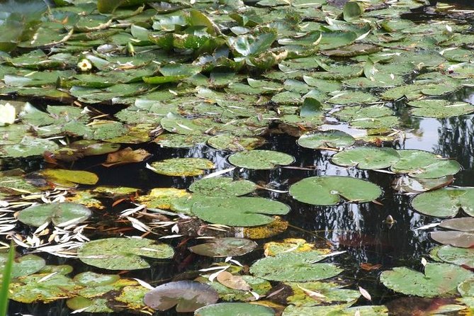 Giverny Monet's House Gardens Small-Group with Hotel* Pickup - Insights from Reviews: What Travelers Love and Caution