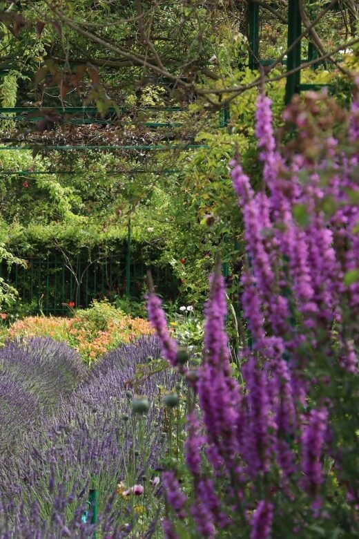 Giverny Private Guided Walking Tour - Discover Givernys Artistic Charm with a Private Guide