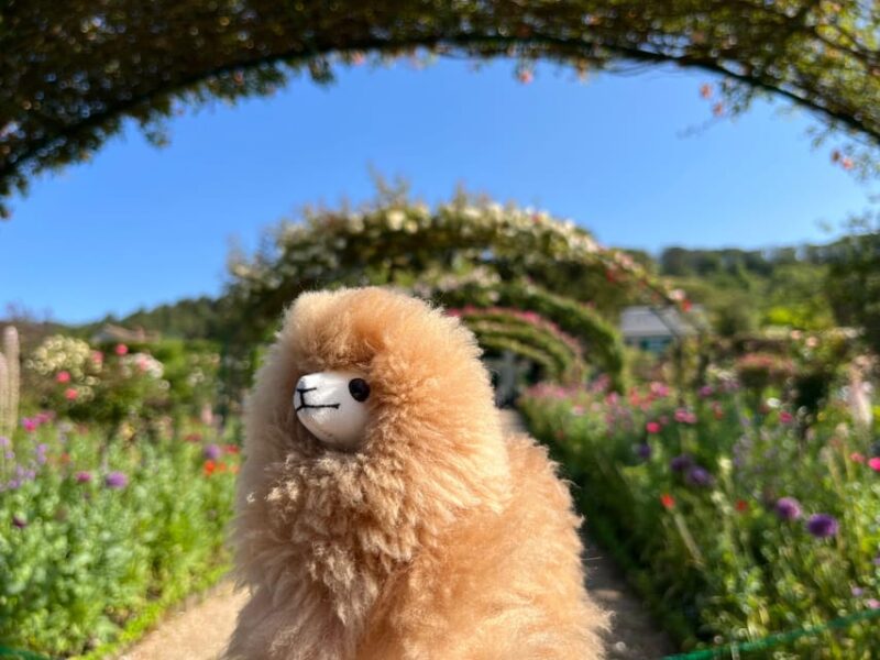 Giverny & Versailles Full-day Tour by Comfort Car - Considerations for Seasonal Timing and Customization